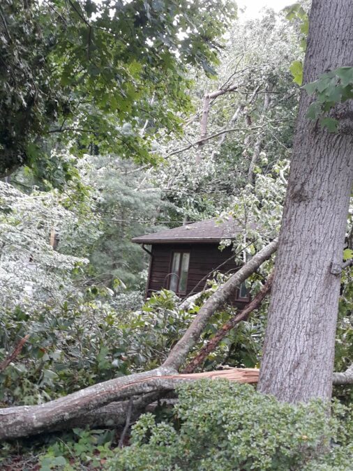 STORM DAMAGE PICTURES