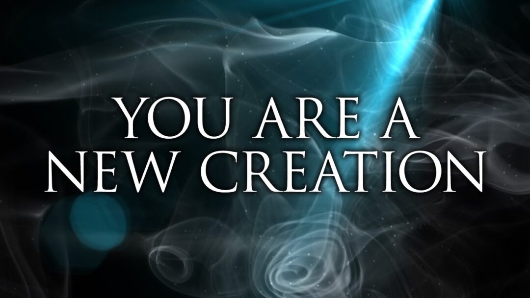 YOU ARE NEW – Lisa Great Enebeli